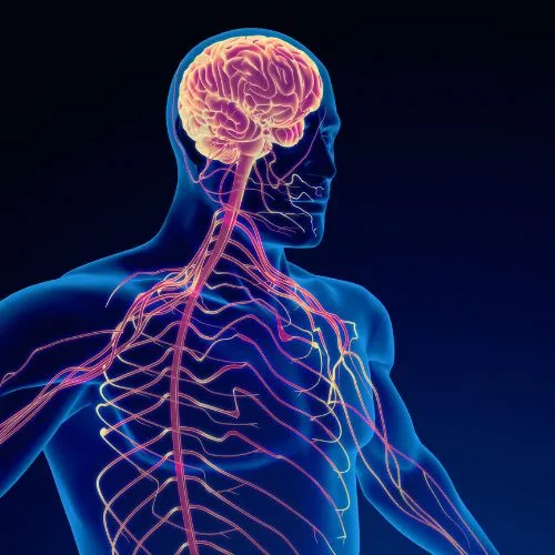 Vascular Neurosurgery - Expert Neurosurgery Care